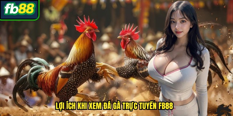 Lợi ích khi xem đá gà trực tuyến FB88